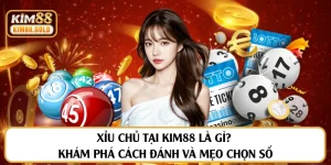 Xỉu Chủ Tại Kim88 Là Gì? Khám Phá Cách Đánh Và Mẹo Chọn Số